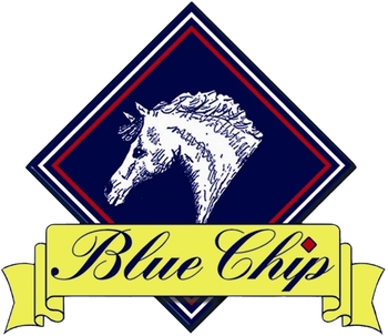 Phoebe Farman takes the top spot in the Blue Chip Pony Newcomers Second Round at Keysoe Equestrian Centre Phoebe Farman takes the top spot in the Blue Chip Pony Newcomers Second Round at Keysoe Equestrian Centre